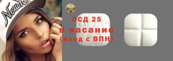 ECSTASY Пересвет