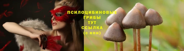 кокс Абдулино