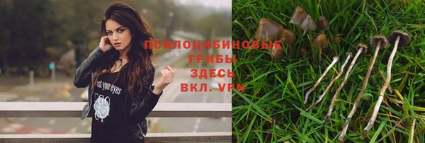 ECSTASY Пересвет