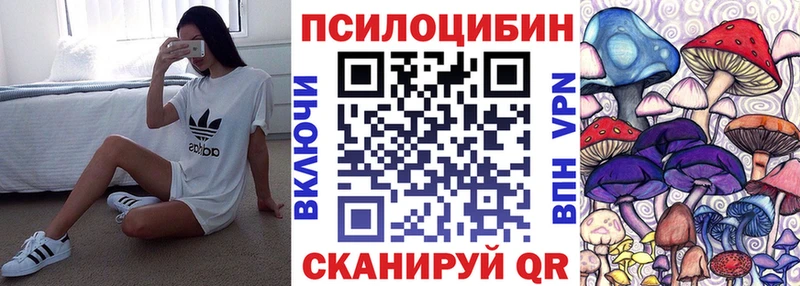 купить наркотики сайты  Зеленодольск  Галлюциногенные грибы мицелий 
